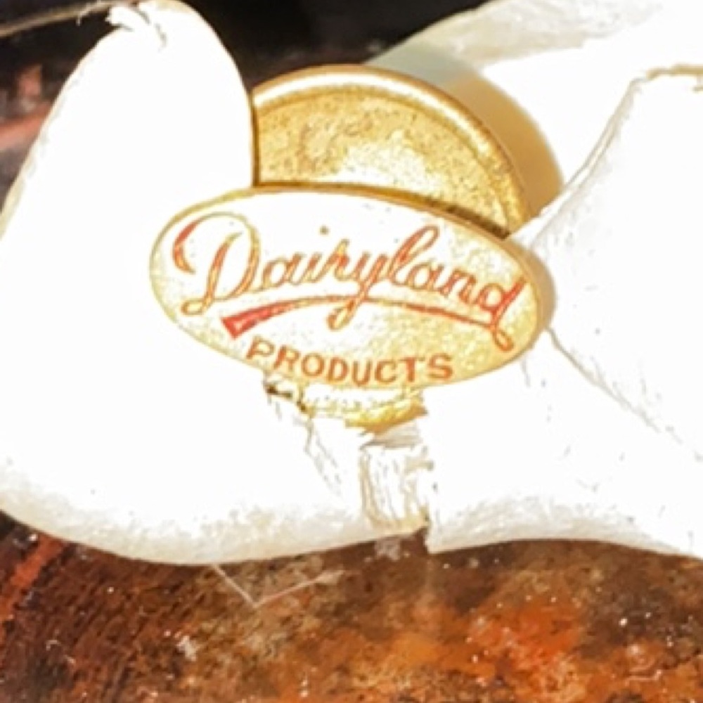 Dairyland products pendant Award